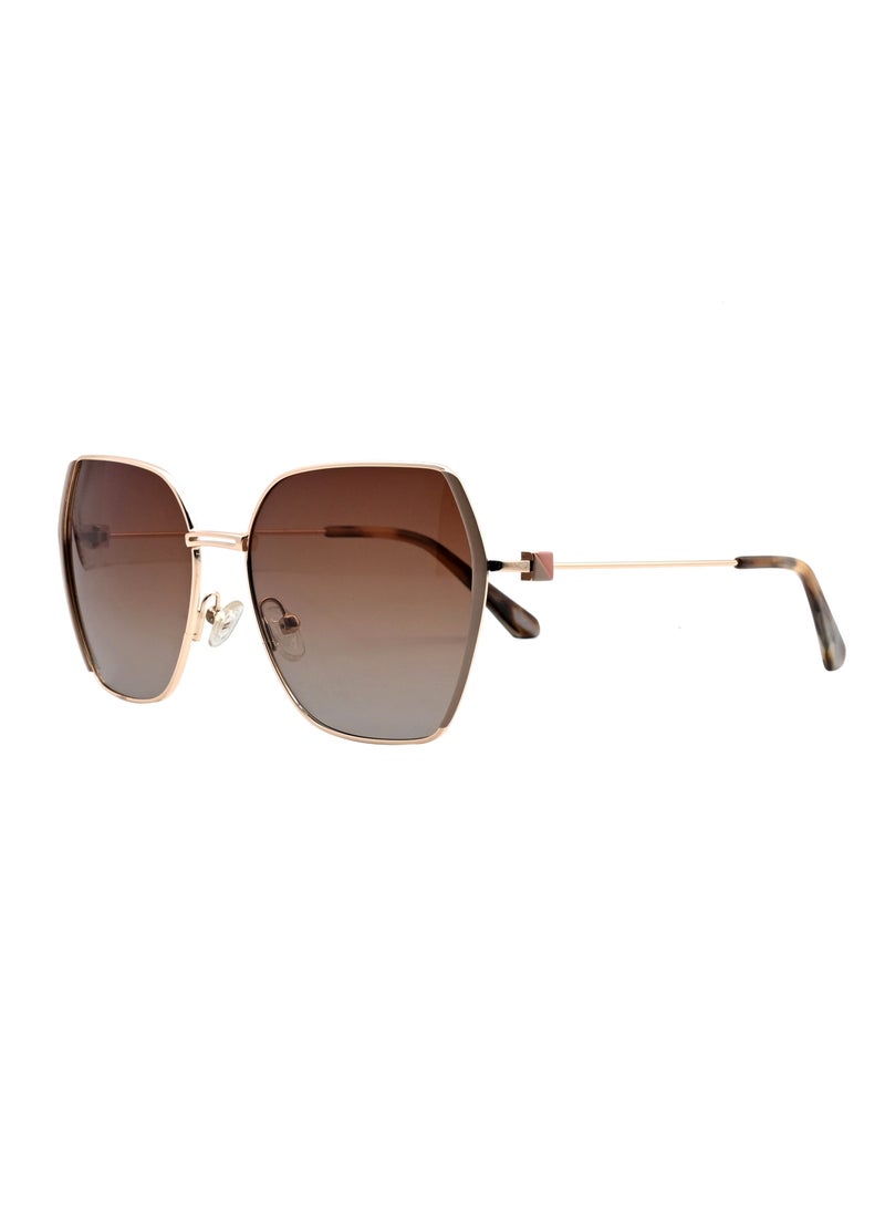 دلس - نظارات شمسية مستقطبة كبيرة الحجم دي إل إس طراز MS9007-C4 - Image 1