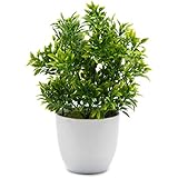 OFFIDIX Potted Artificial Plastic Plants,Mini Faux Plant with White Pots Plant Decorations Indoor Fake Desk Plant for - Image 1