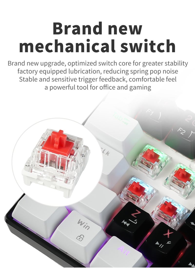 El-csele Arabic-English 61-Key Mechanical Gaming Keyboard, Red Switch, Type-C Wired, Anti-Ghosting, Dual Mode for Office & Gaming – Middle East Edition  - Image 2