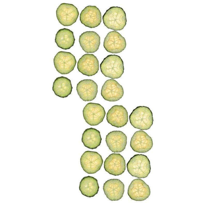 Pressed Cucumber Slices for Resin Crafts DIY Home Supplies Dried Vegetable - Image 2