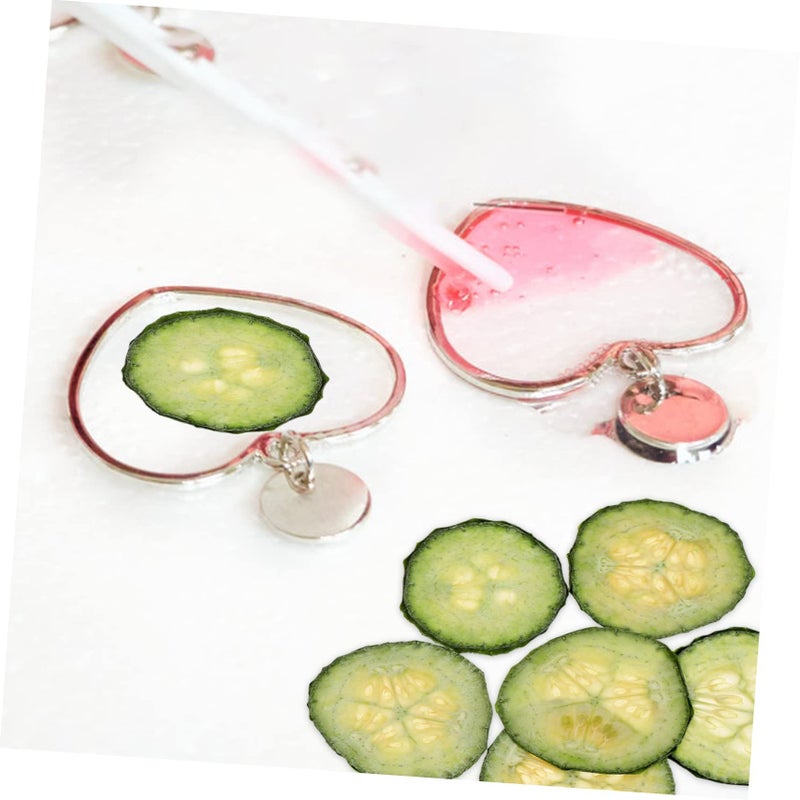 Pressed Cucumber Slices for Resin Crafts DIY Home Supplies Dried Vegetable - Image 4