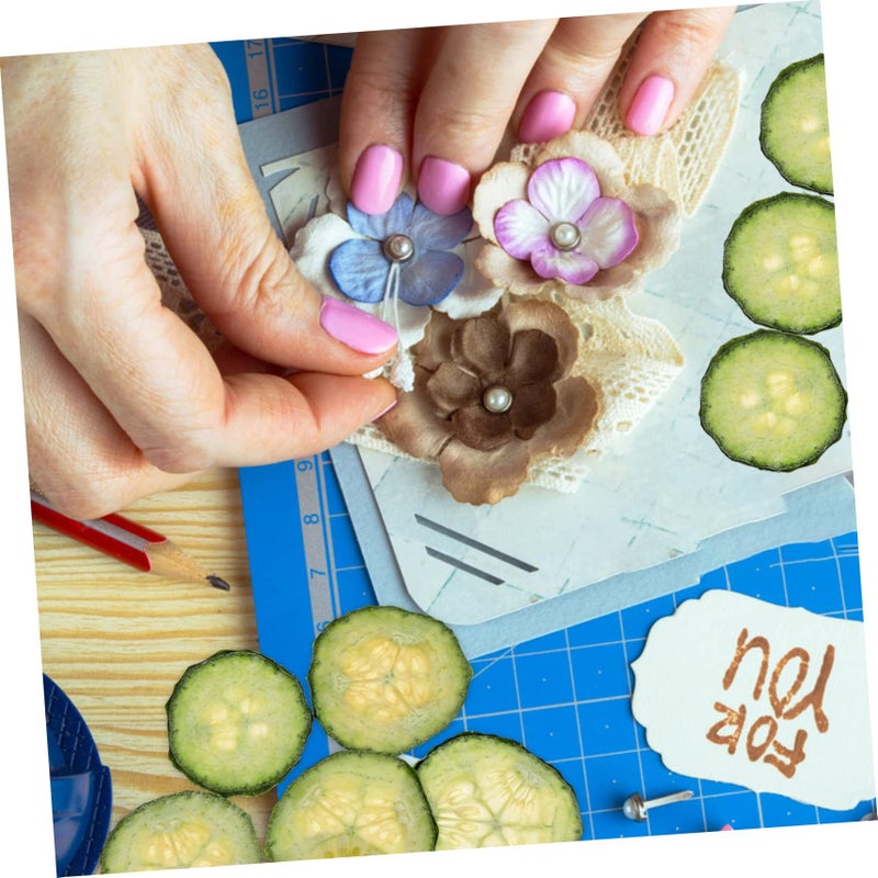 Pressed Cucumber Slices for Resin Crafts DIY Home Supplies Dried Vegetable - Image 3