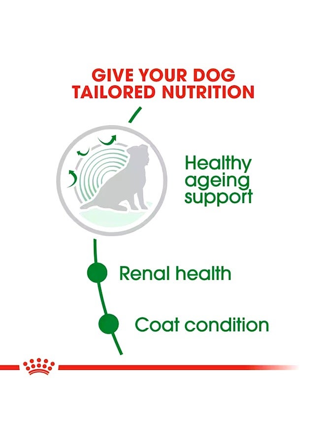 ROYAL CANIN Mini 12+ Ageing Dog Food - 1.5 KG - Image 2