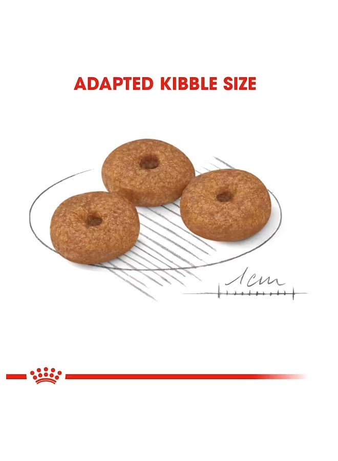 ROYAL CANIN Mini 12+ Ageing Dog Food - 1.5 KG - Image 3