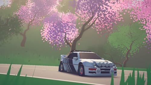 Serenity Forge art of rally collector's edition - Nintendo Switch - Image 3