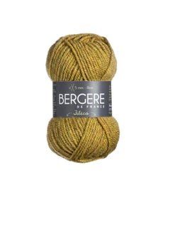 Bergere De France Fileco Yarn Ecoocre