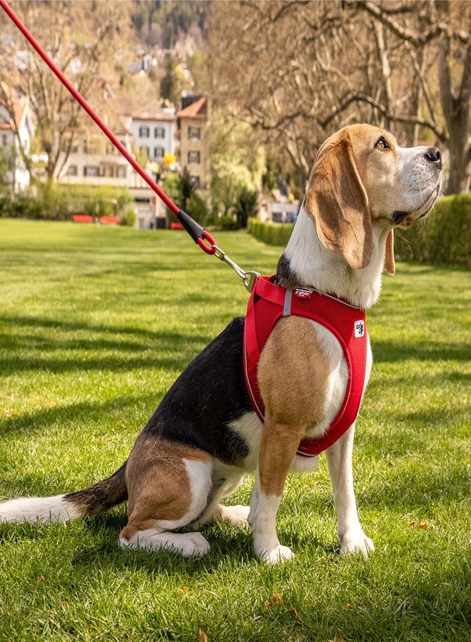 Curli Magnetic Vest Harness Air-Mesh Black 2XS - Image 4
