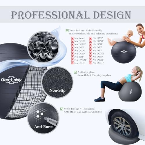 Goonidy Soft Exercise Ball, Anti-Burst Pilates Yoga Ball Chair Supports 2200lb, Workout Equipment w/ Pump for Women Pregnancy, Medicine, Birthing, Physical Therapy, Stability, Excersing, Birth, Swiss, Fitness - Image 3