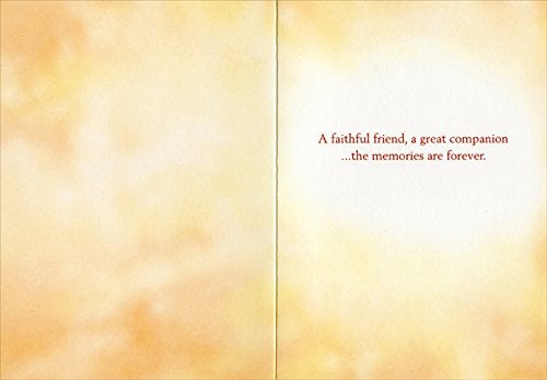 Avanti Dog Sitting On Beach At Sunset - Avanti Golden Retriever Pet Sympathy Card by Avanti Press - Image 2