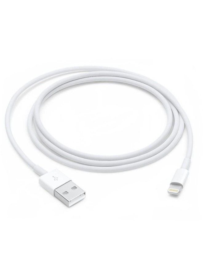 NIBEMINENT - USB Lightning Cable Data Sync Charger White - Image 1
