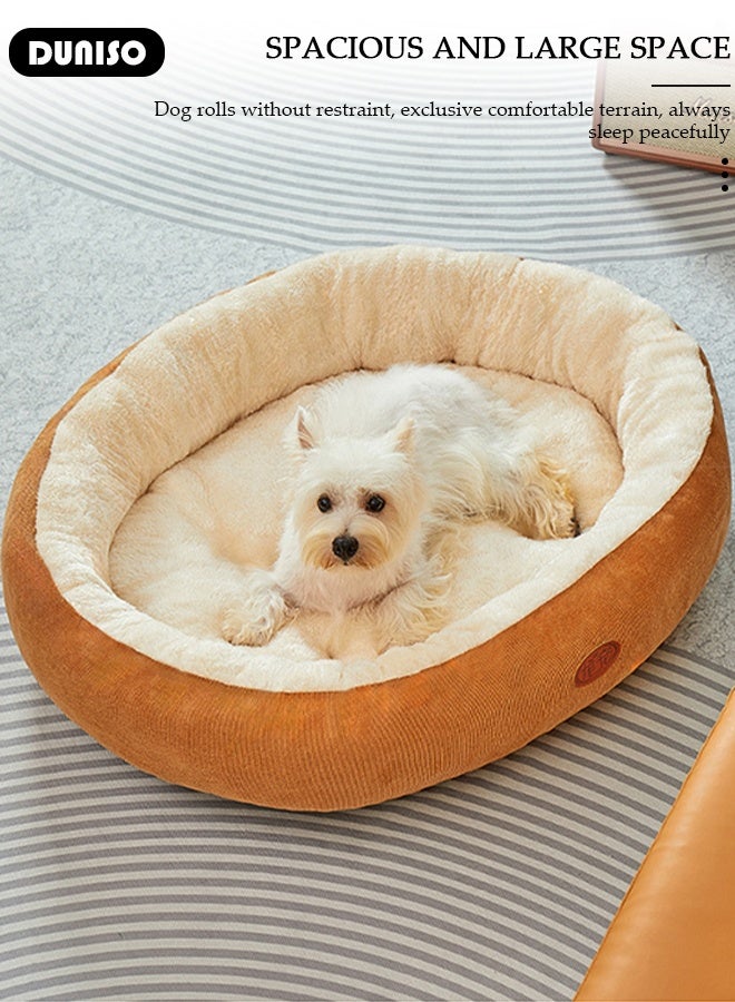 DUNISO كوخ قطط شتوي دافئ حصيرة قطط بيضاوية عالمية لجميع الفصول، كوخ سميك للكلاب الصغيرة والمتوسطة الحجم - Image 2