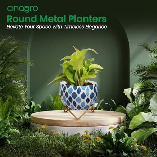 CINAGRO Metal Flower Vase Planter Pot with Iron Stand, Pots for Plants, Plant Pots for Home Decoration, Succulent Pot, Indoor Planter Garden Decor (Size: 6X6 inch) Style: Seaside Serenity - Image 2