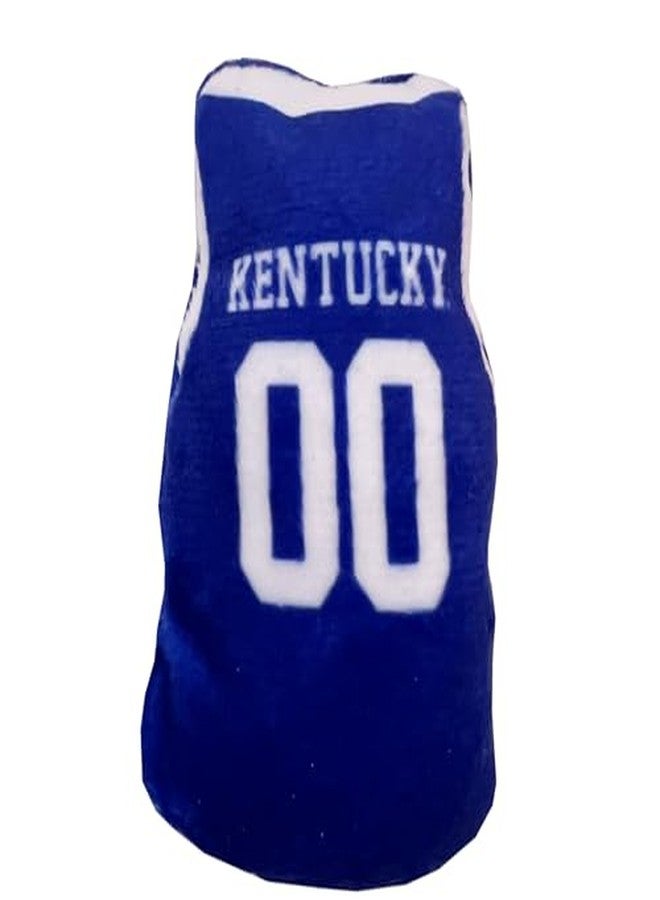 Pets First Best Plush CAT Toy - NCAA Kentucky Wildcats Complete Set of 3 Piece Cat Toys Filled with Fresh Catnip. Includes: 1 Helmet Cat Toy, 1 Football Cat Toy with Feathers, & 1 Beer Bottle. - Image 3