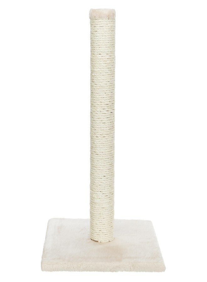 Trixie Parla Cat Scratching Post 24.4 Inch - Cat Scratcher with Soft Fabric Covering Base and Durable Natural Jute Rope - Beige - Image 1