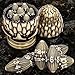 ARUOHHA DND Metal Dice Bronze Dragon Egg Dice with Rotating Dragon Egg Shell Role Playing Game RPG Polyhedral D and D Dice Set D20 D12 D10 D8 D6 D4 - Image 2