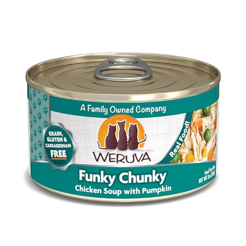 Weruva Classic Cat Food, Funky Chunky Chicken Soup with Pumpkin in Chicken Soup, 3oz Can (Pack of 24) - Image 1