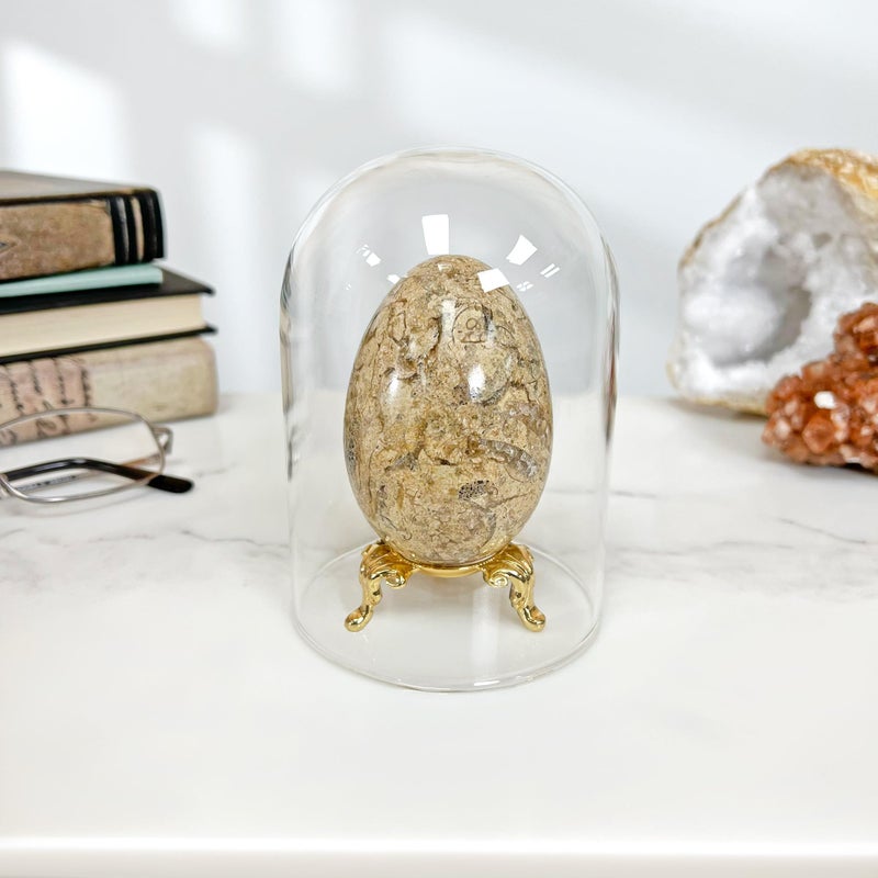 Plymor قبة زجاجية من بلايمور 3" × 4" (بدون قاعدة) - Image 2