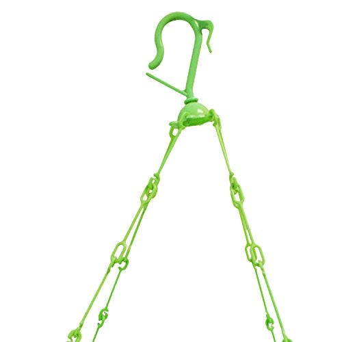 Winberg 32 Clip/Peg Laundry Clothesline Hanging Rack for Drying Cloth (Random Colour) 32clip - Image 2