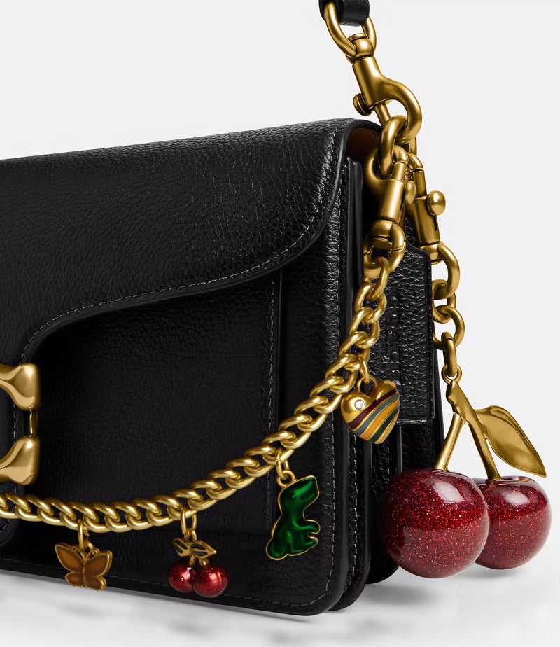FASTFAIRY Bag Charms Purse Extender Chain: Gold Cute Lobster Clasp Keychain - For Leather Shoulder Handbags Accessories - Fashion Working Women - Image 5