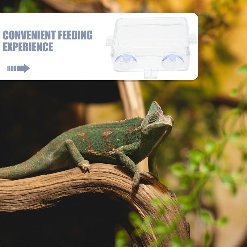 Reptile Feeder Chameleon Bowl Reptile Feeder Feeding Bowl Reptile Feeding Cup Water Dispenser Cup Snake Water Dish - Image 3