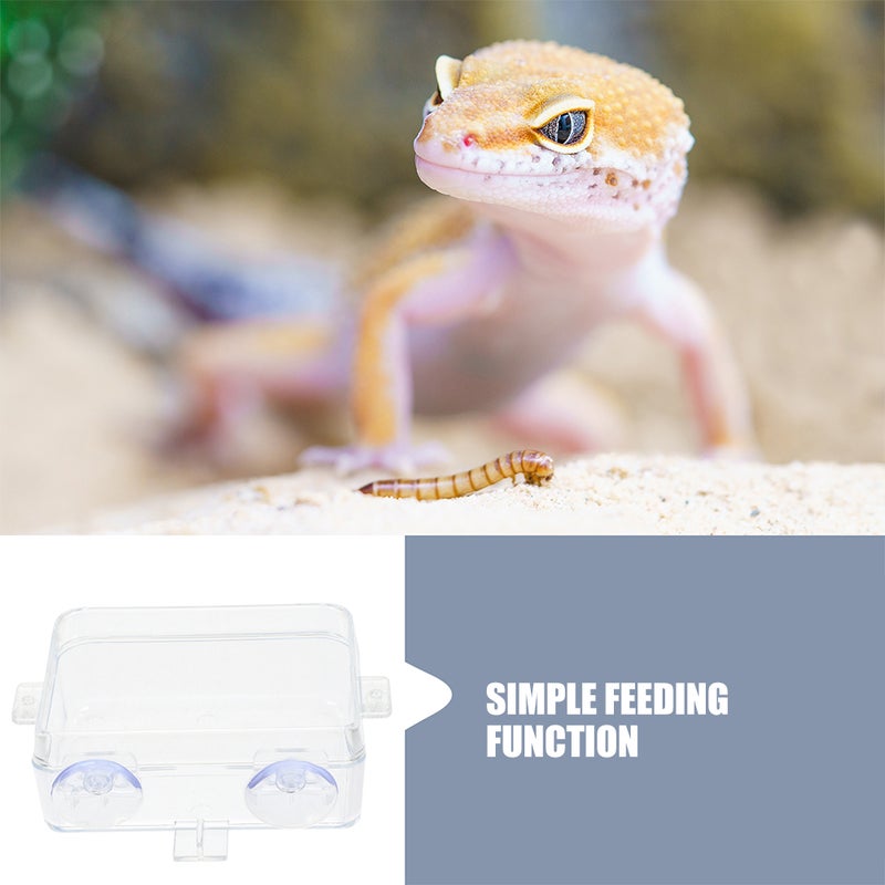 Reptile Feeder Chameleon Bowl Reptile Feeder Feeding Bowl Reptile Feeding Cup Water Dispenser Cup Snake Water Dish - Image 4