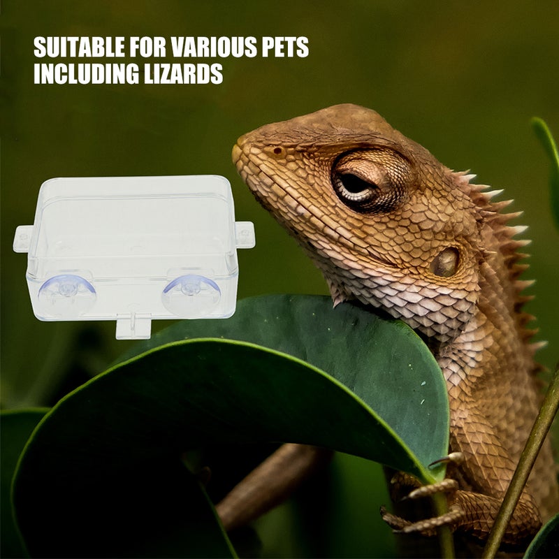 Reptile Feeder Chameleon Bowl Reptile Feeder Feeding Bowl Reptile Feeding Cup Water Dispenser Cup Snake Water Dish - Image 5