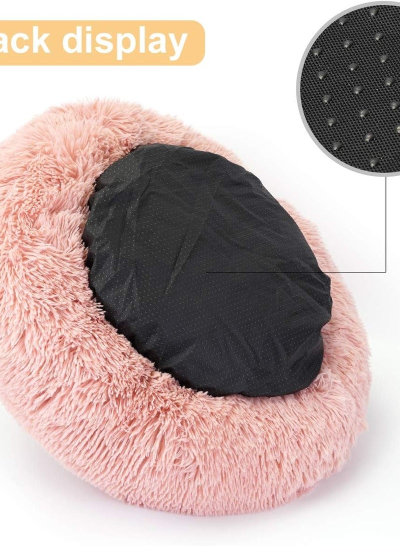 Cochet rose with a blanket