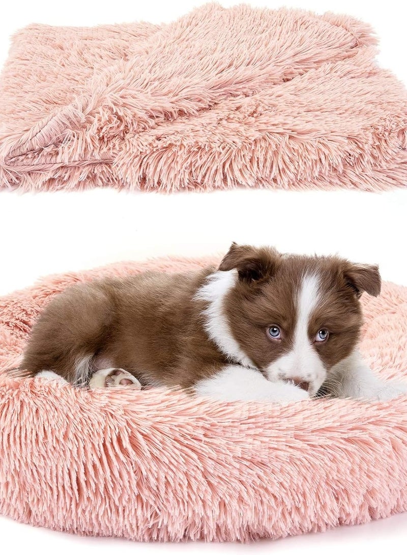 Cochet rose with a blanket