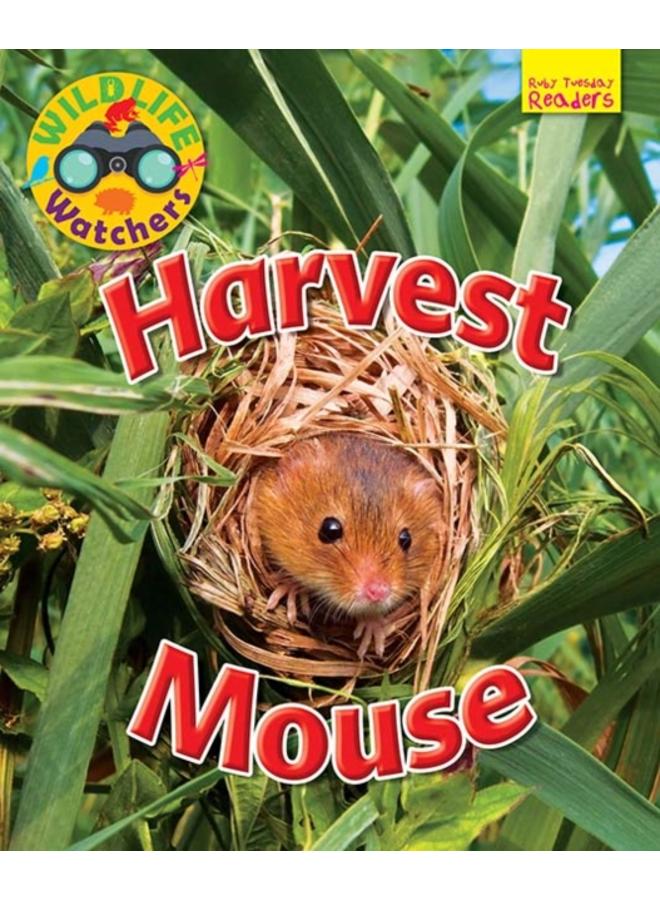 Wildlife Watchers: Harvest Mouse