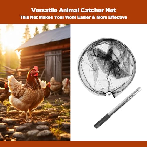 Smarkey Animal Catcher Net, Chicken Catching Net for Poultry Supplies, Extendable 72" Made of Stainless Steel Fishing net Catcher for Catching Small Duck, Geese, Bird, Bat, Chickens, cat, Poultry - Image 3
