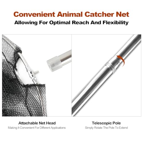 Smarkey Animal Catcher Net, Chicken Catching Net for Poultry Supplies, Extendable 72" Made of Stainless Steel Fishing net Catcher for Catching Small Duck, Geese, Bird, Bat, Chickens, cat, Poultry - Image 5