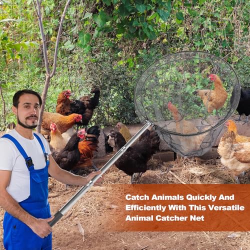 Smarkey Animal Catcher Net, Chicken Catching Net for Poultry Supplies, Extendable 72" Made of Stainless Steel Fishing net Catcher for Catching Small Duck, Geese, Bird, Bat, Chickens, cat, Poultry - Image 4