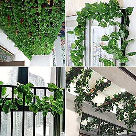 Go Hooked Artificial Garland Money Plant Leaf Creeper for Home, Wall Hanging, Special Occasion, Party, Office Decoration (Pack of 8 String, 6 Feet Each) - Image 3