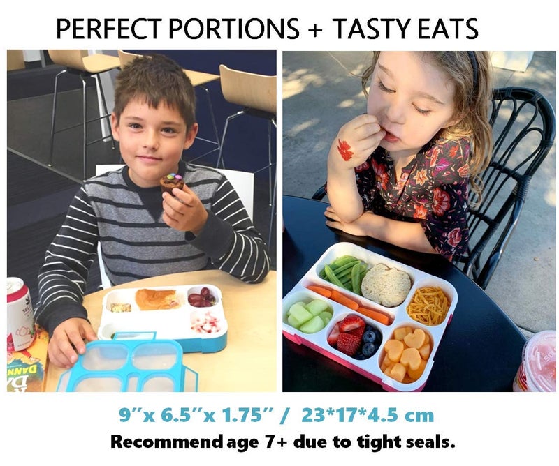 kinsho Bento Box Lunch-Box for Kids Adults, Snack Containers for Toddlers, Leakproof School Bentobox, 6 Section Meal Container for Boys Girls Women Lunches, BPA Free Utensils, Blue - Image 2