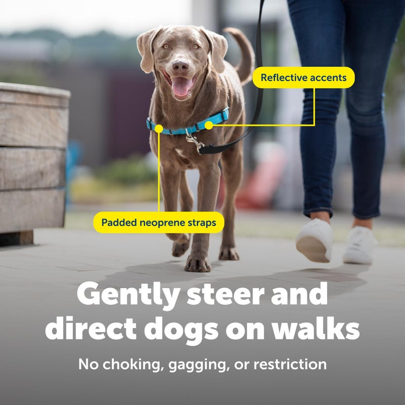 PetSafe Deluxe Easy Walk Harness - Trainer-Trusted Dog Chest Harness with Breathable Martingale Loop Design - Helps Stop Pulling with No Choking & Gagging - Large - Ocean - Image 5