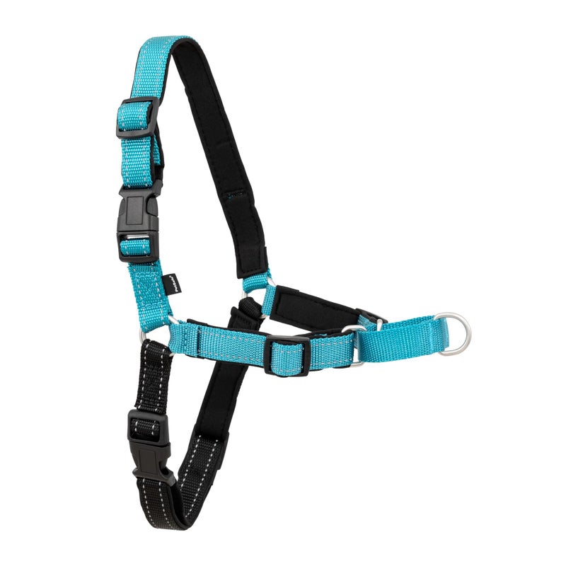 PetSafe Deluxe Easy Walk Harness - Trainer-Trusted Dog Chest Harness with Breathable Martingale Loop Design - Helps Stop Pulling with No Choking & Gagging - Large - Ocean - Image 1