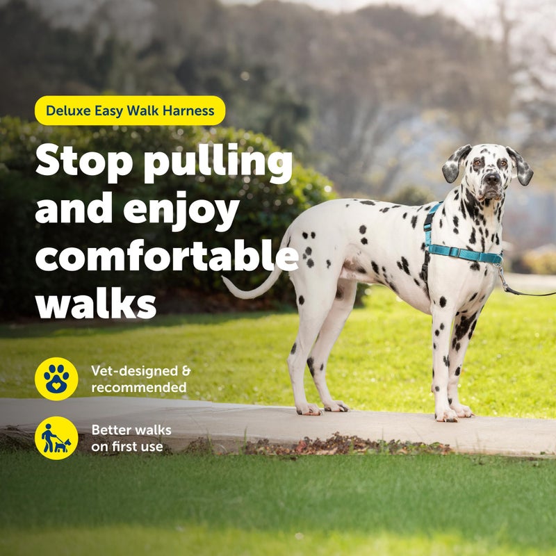 PetSafe Deluxe Easy Walk Harness - Trainer-Trusted Dog Chest Harness with Breathable Martingale Loop Design - Helps Stop Pulling with No Choking & Gagging - Large - Ocean - Image 3