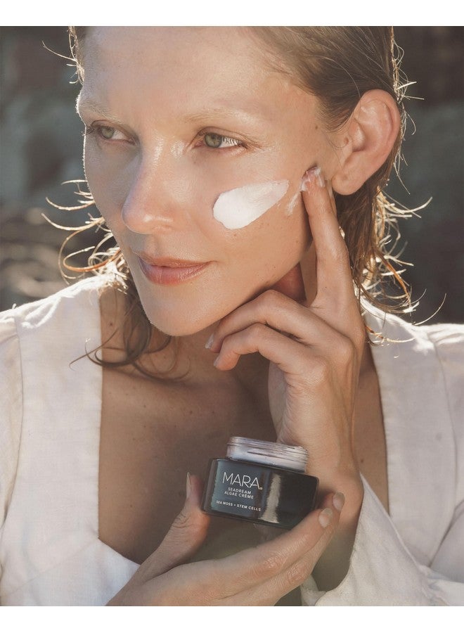 MARA - SeaDream Firming Algae Creme | Plant-Based Care for All Skin Types | Hydrates + Targets Fine Lines (1.7 fl oz | 50 ml) - Image 5
