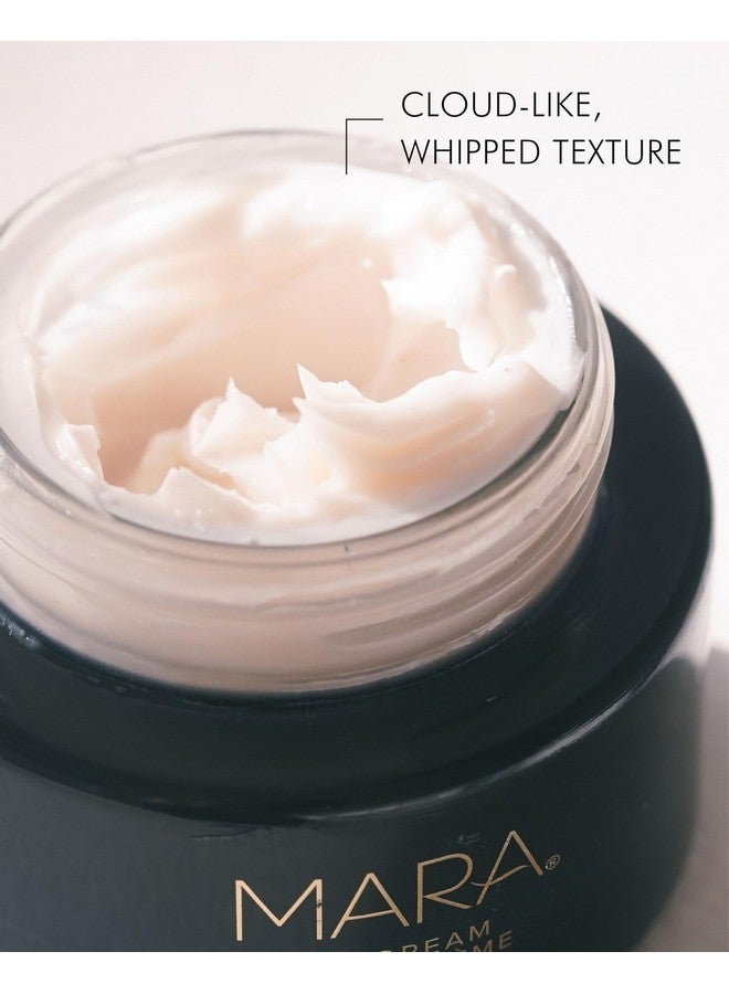 MARA - SeaDream Firming Algae Creme | Plant-Based Care for All Skin Types | Hydrates + Targets Fine Lines (1.7 fl oz | 50 ml) - Image 2