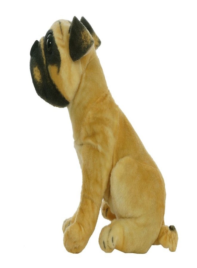 Aarushi Stuffed Soft Doggy Toy for Kids Multicolor - Image 2