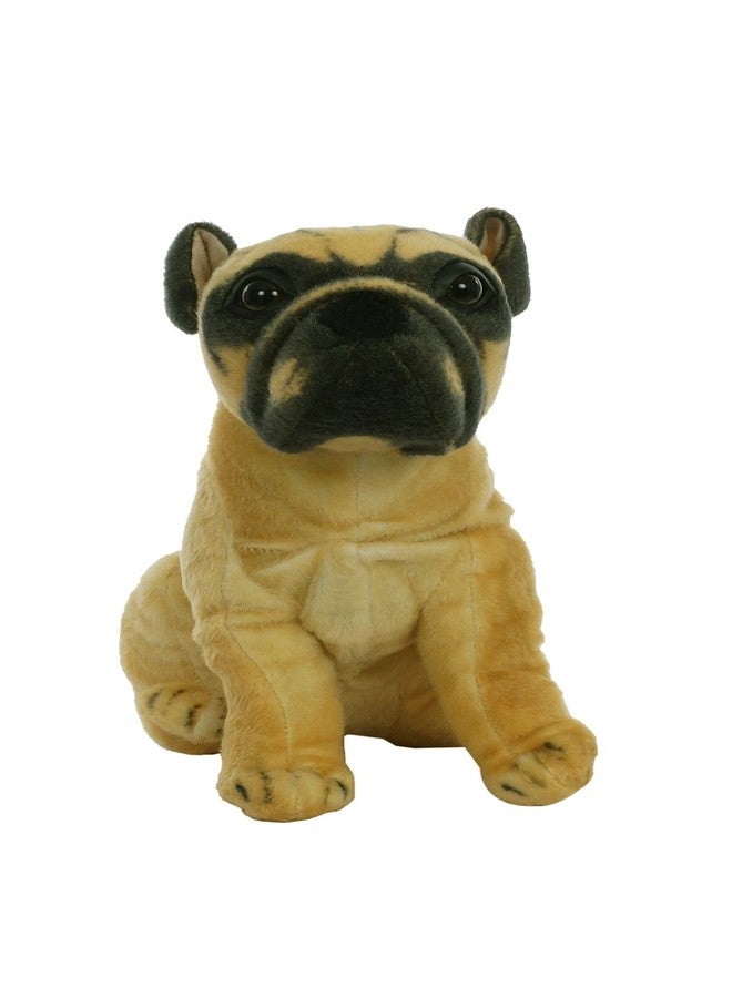 Aarushi Stuffed Soft Doggy Toy for Kids Multicolor - Image 1