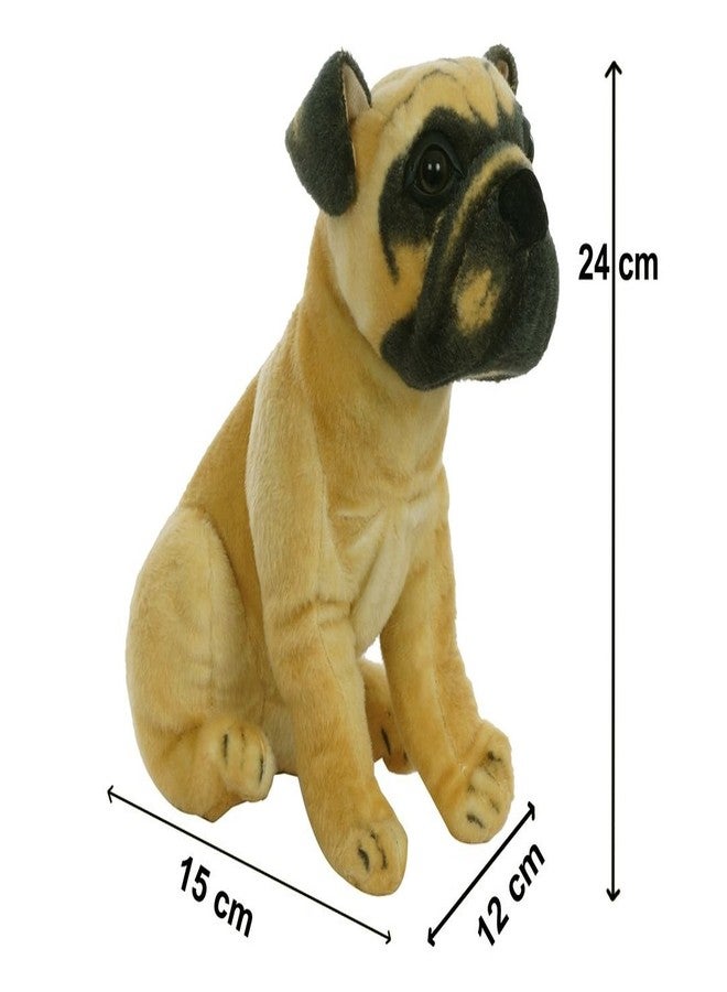 Aarushi Stuffed Soft Doggy Toy for Kids Multicolor - Image 3
