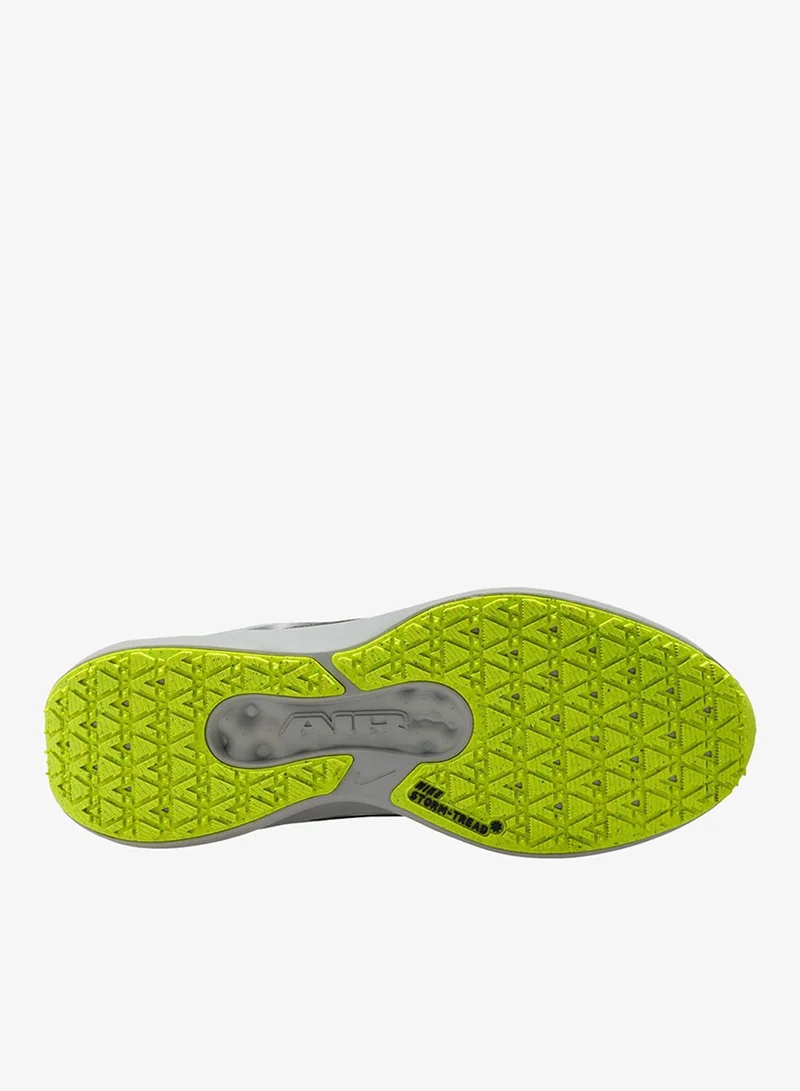 Nike Air Winflo 11 Gtx