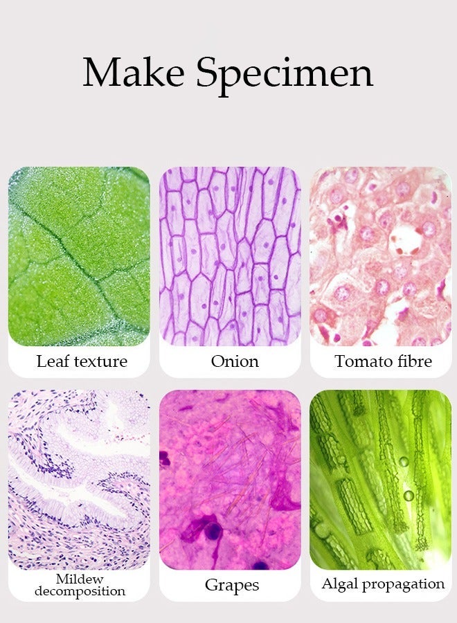 DUNISO Microscope Power LED Lighted Pocket Microscope Portable Microscope with 2 Specimens for Kids STEM and Educational Toy Interactive Learning 60X-180X - Image 3