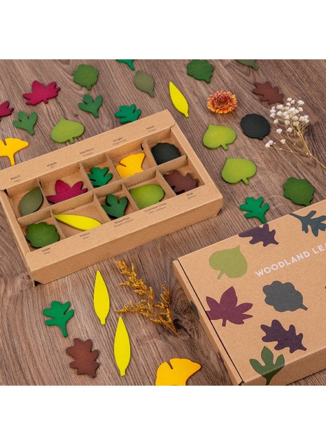 Loquat # Montessori Language Area Literacy Game Kindergarten Area Corner Middle And Large Classes Early Education Early Childhood Connection Play Teaching-Color:Leaf Set - Image 1
