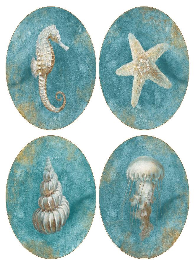 CoasterStone "Treasures of the Sea" Absorbent Coasters (Set of 4), 4-1/4", Multicolor - Image 3