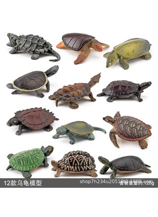 Tortoise 12-piece set 128g