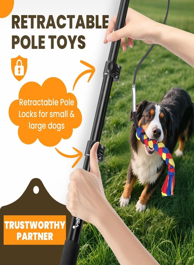 Ycozy Flirt Pole for Dogs Heavy Duty Interactive Toys Tug of War with Detachable 3 Replacement Rope Toys for Chase and Outdoor Exercise & Training for Small Medium Large Dogs (Pole - 40.6") - Image 2