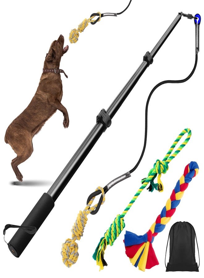 Ycozy Flirt Pole for Dogs Heavy Duty Interactive Toys Tug of War with Detachable 3 Replacement Rope Toys for Chase and Outdoor Exercise & Training for Small Medium Large Dogs (Pole - 40.6") - Image 1