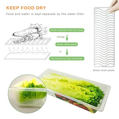 Solitude Food Storage Boxes Pack of 5, Fridge Organizer with Removable Drain Plate Fridge Storage Containers Keeps Fruits, Vegetables, Meat, Fish Fresh Longer 1500 ML Container Box - Image 4